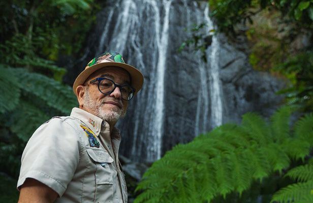 El Yunque Educational Rainforest Walk Easy and Family Friendly