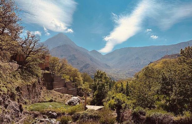 From Marrakech : Atlas Mountains 4 hours hike to talamrout summit