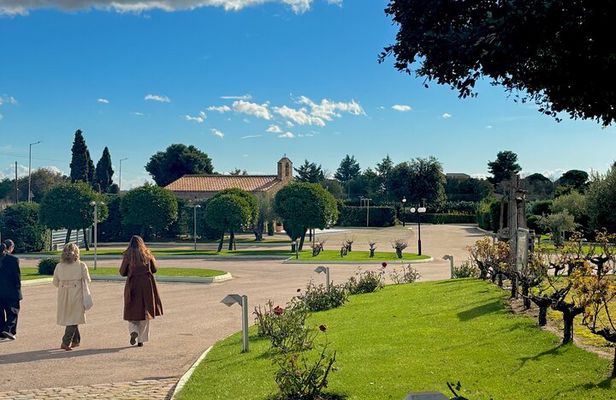 Athens Wine Tour: Wine museum and Wine Tasting with Food Pairings