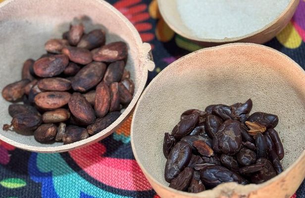 Chocolate Tasting and Crafting Workshop in Cabo San Lucas
