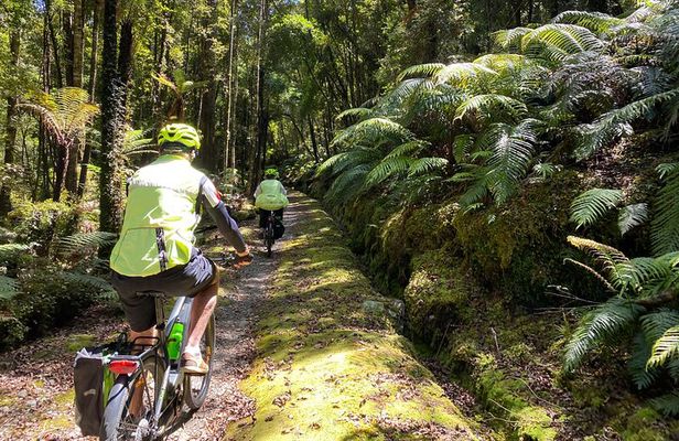 One Day Tour from Hokitika on Wilderness Trail by eBike