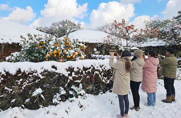 Jeju Island East UNESCO Day Tour