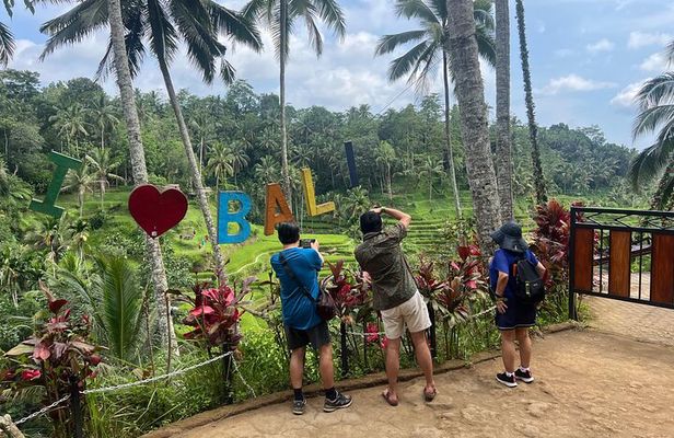 Private Driver and Tour Guide in Bali