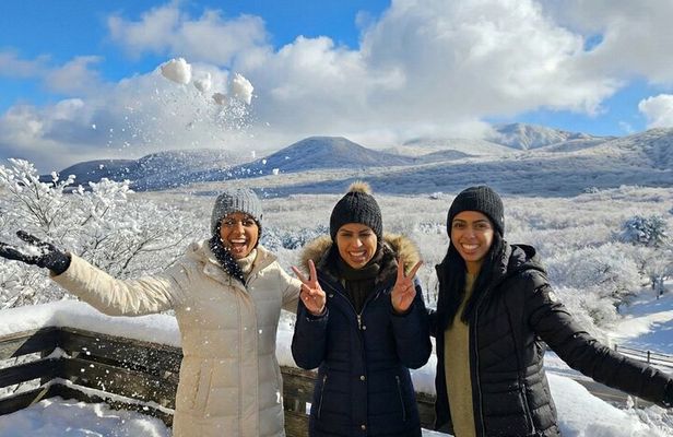 South-West Jeju Essentials: Hallasan & Signature Highlights