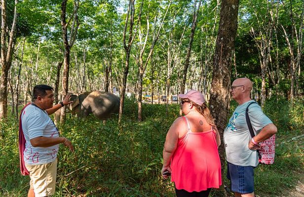 Khao Lak Elephant Sanctuary, Waterfall & Turtle Conservation