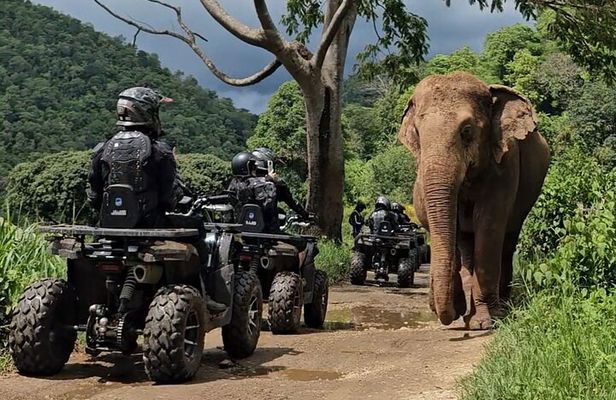 8 Hour Sticky Waterfall ATV and Zipline Guided Adventures