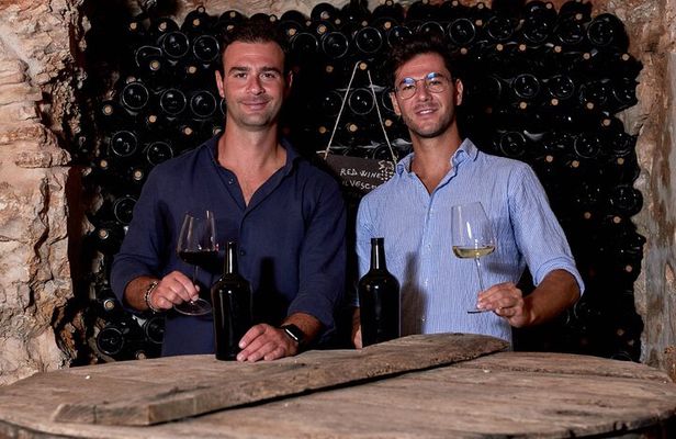 Wine Tasting with Food Pairings in Bari City Center