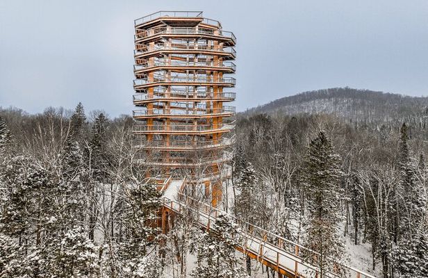 Treetop Observatory and Walk