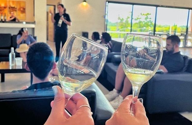 Wine and Olivicola Tour Wine and Oil Tastings