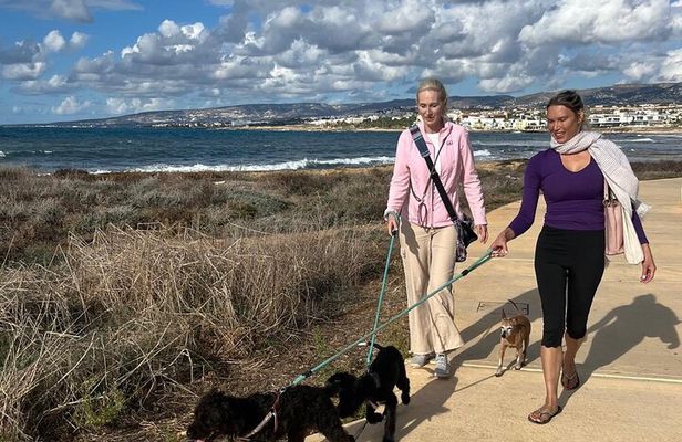Scenic Beach Walk with Rescue Dogs