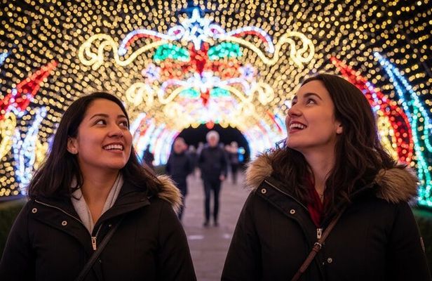 Private Customized Tour: A Local's Christmas In Edinburgh