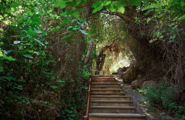 From Paphos: Aphrodite Baths, Sea Caves & Wine Tasting