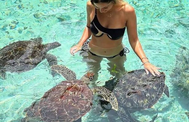 Full-Day Zanzibar Dolphins, Turtle Salaam Cave & Jozani Forest