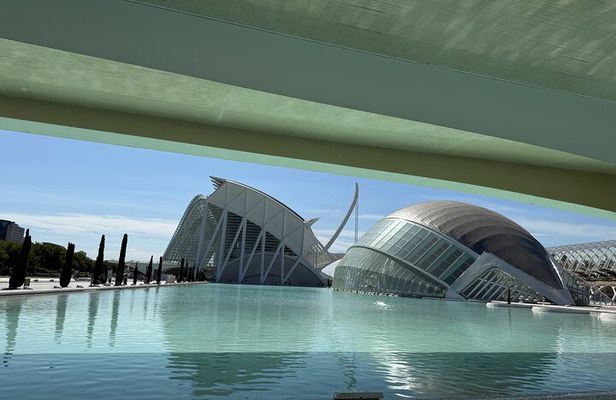 Valencia: City of Arts & Sciences Walking Tour with Local Guide