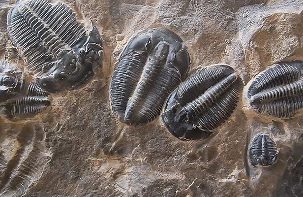 2 hour Quarry Access