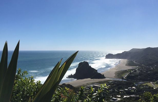 Full Day Sightseeing Tour in Auckland