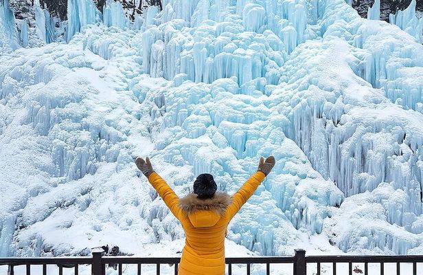 Eobi Ice Valley Nami Island and Gangchon Rail Park Seoul