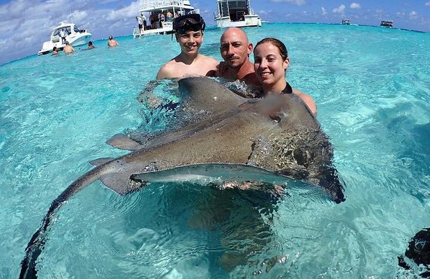 Stingray City Sandbar, Snorkel, Star fish Beach (Family operated)