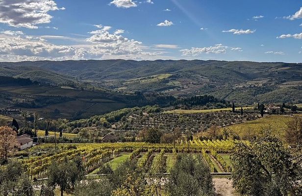 Organic Chianti Classico Wine Tour Tastings with Lunch Included