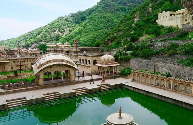 Jaipur Cultural Day Tour Hawa Mahal City Palace and Monkey Temple