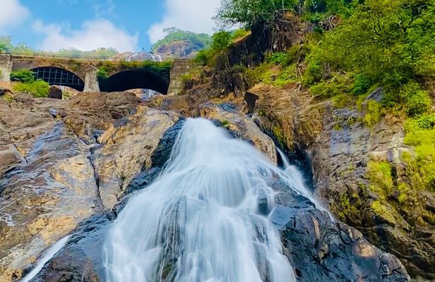 Full Day Join Goa Tour: Dudhsagar Waterfalls & Spice Planatation