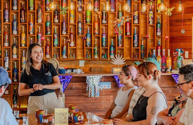 Sustainable Mezcal Tour at an Award Winning Family Distillery