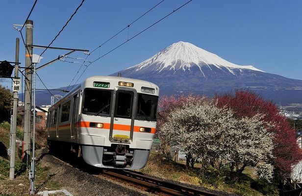 Mt Fuji Shizuoka Wasabi Tour with Hokusai Train and Bullet Train