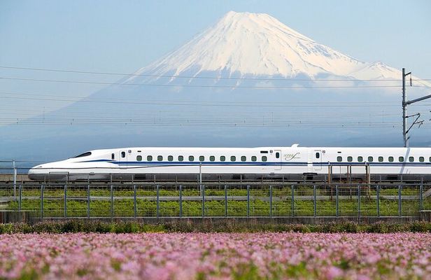 Mt Fuji Views Tour by Bullet Train Hokusai Train and Wasabi Farm