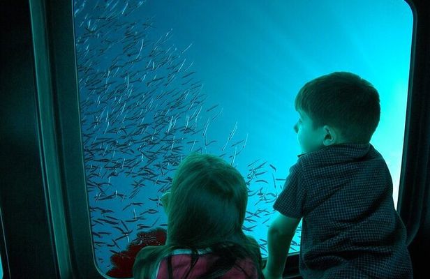 Sharm Submarine Adventure