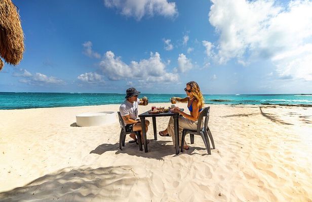 Beach Taco Tour with Tequila Tasting and Trasportation