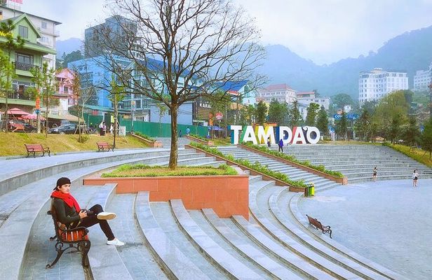 Ha Noi : Tam Dao Tour Full Day By Private Car 