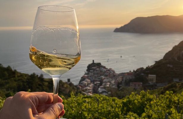 Heroic : Vineyard Trekking & Authentic Wine Tasting in Vernazza