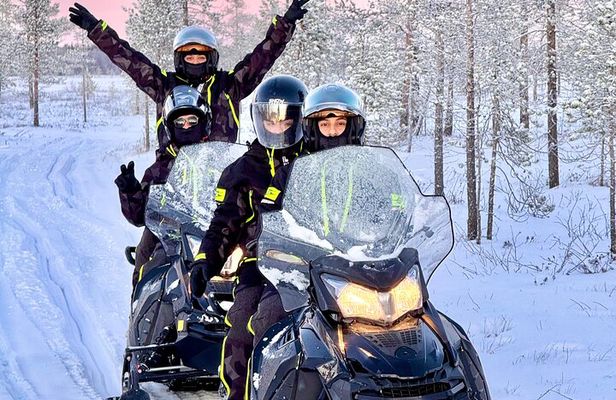 Small Group: Snowmobile Safari from Riverside Lodge 3h