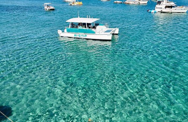 Peanut Island Sandbar and Swim Tour 