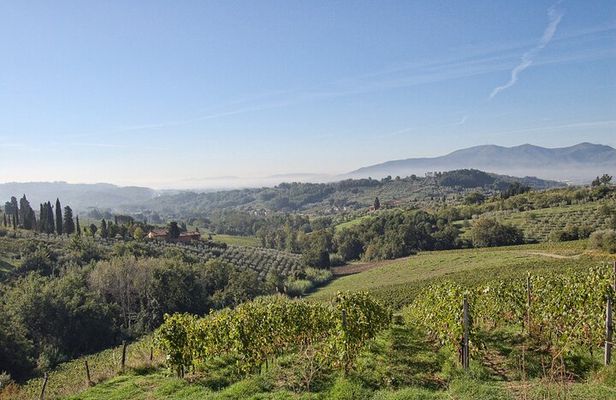 Self Guided Bike Tour from Lucca to Montecarlo Wine Roads