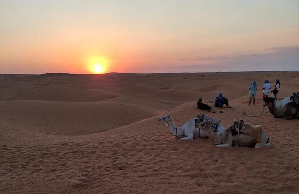 Ksar Ghilane Excursion with Overnight Tent 