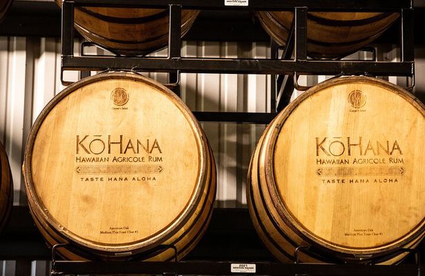 6 Zipline Tour at Coral Crater Adventure