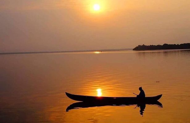 Kochi: Kumarakom Day Trip with Shikara Cruise & more