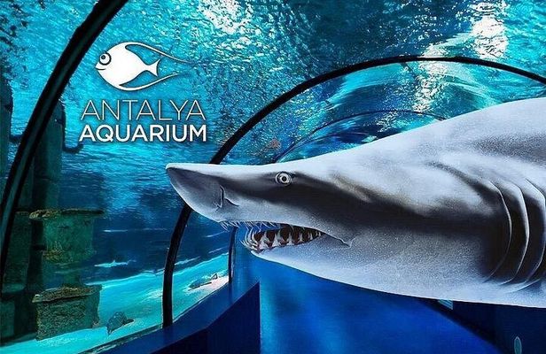 Side Aquarium and Fun Park Tour All Inclusive with Hotel Pickup