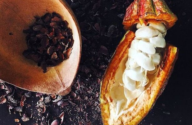 Mayan Chocolate Making & Waterfall Tour from Placencia