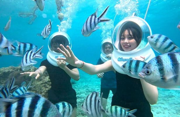 【Okinawa】Sea Walk Tour in onna village with Free Benefits