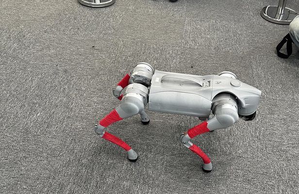 Shenzhen Future Tech Tour: Robots, Drone Delivery & Self-Driving