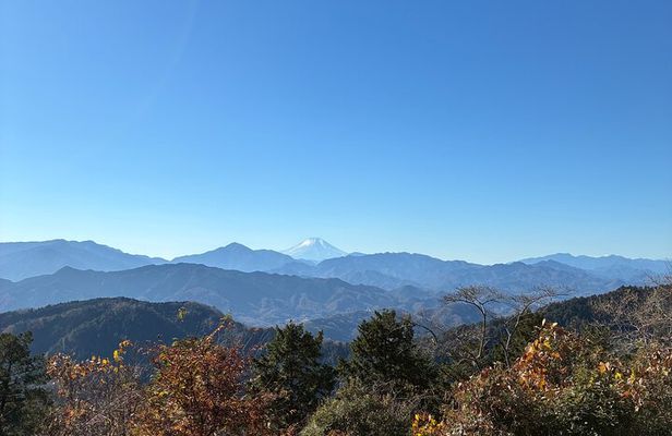 Half Day Hiking at Mt Takao Back to Shinjuku by Noon