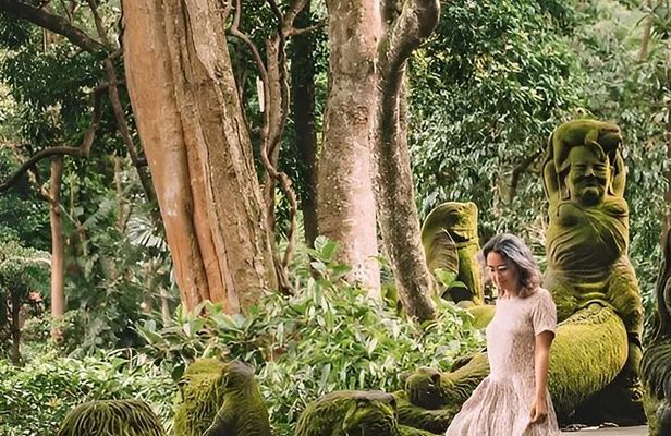 Ubud Highlights: Sacred Temples, Waterfalls & Rice Terrace