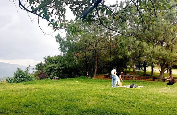 Wild Agaves Hiking Experience in Oaxaca
