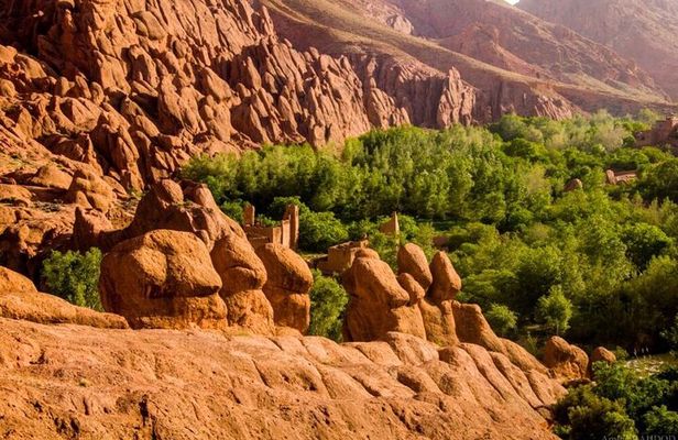 Dades Gorge Monkey Fingers Canyon Guided with Local Experience