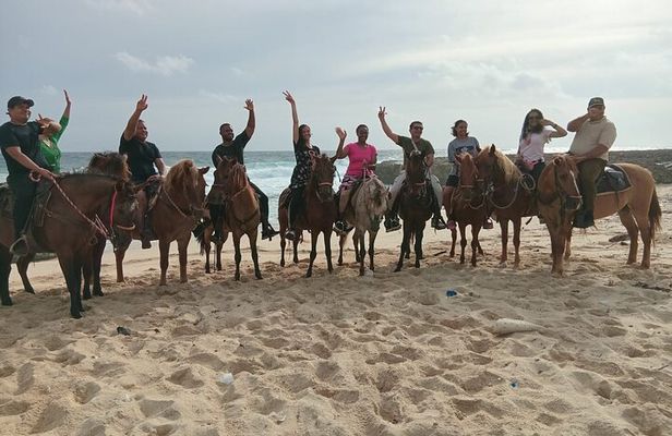  Shore Excursion Aruba’s Ecological and Beach Horseback Riding 