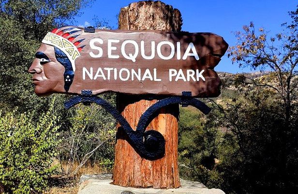 Giant Sequoia National Park Private Day Tour from Los Angeles