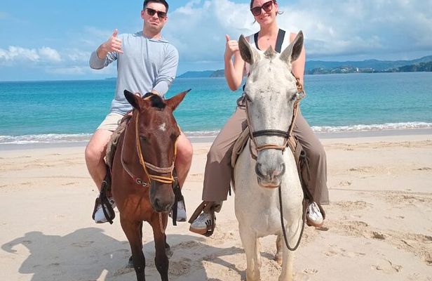 Conchal Beach Horseback Riding - 1hr 30min Guided Tour