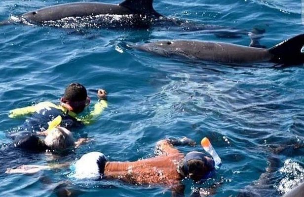 Mnemba Snorkeling Atoll With Swimming with Turtle & Kendwa beach